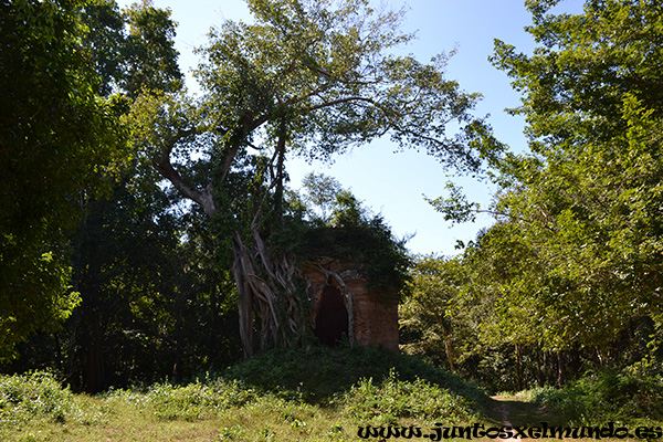 Sambor Prei Kuk Prasat Trapeang Ropeak 2