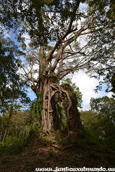 Sambor Prei Kuk Prasat Yeai Poeun 4