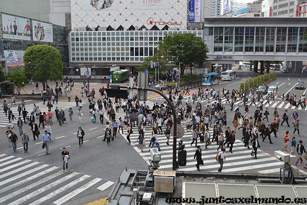 Cruce Shibuya dia 2