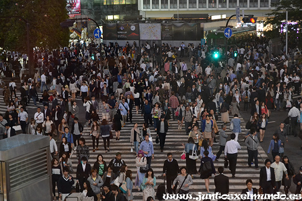 cruce Shibuya de noche 2