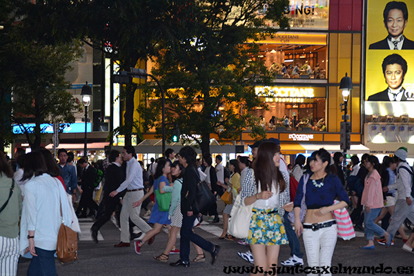 Shibuya noche 1