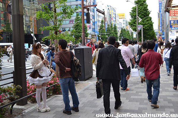 Akihabara 2