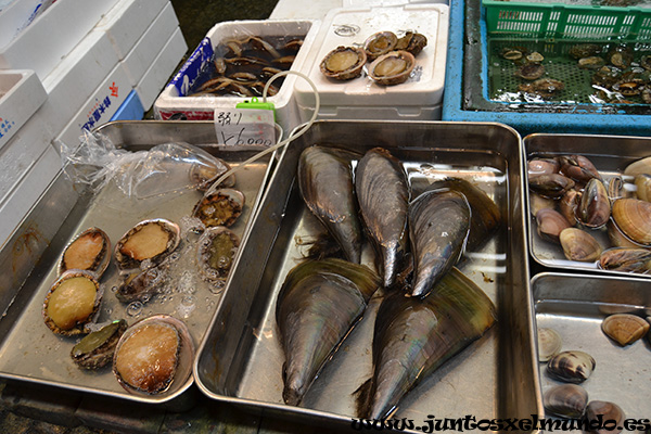 Mercado Tsukiji 4
