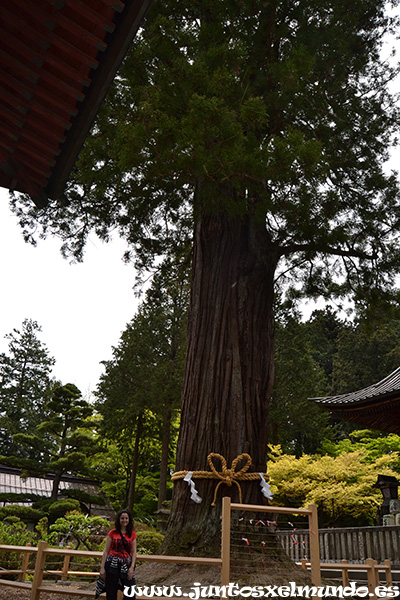 Sengen Shrine 4