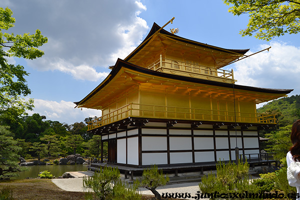 Kinkaku ji 3