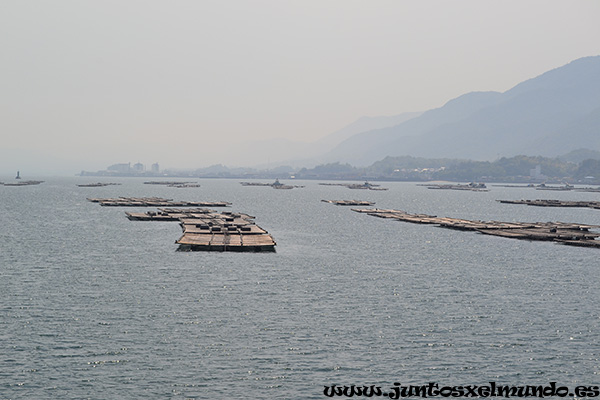 Ferry Miyajima 1