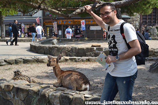 Miyajima 1