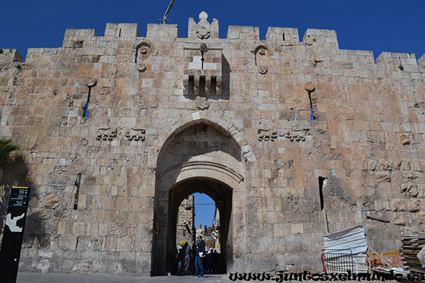 Lion gate