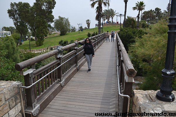 Parque de Jaffa 2