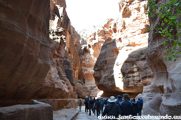 Petra El Siq 2