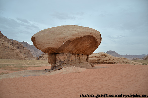 Desierto de Wadi Rum 14