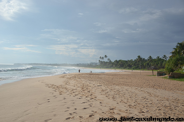 Playa de Koggala 2