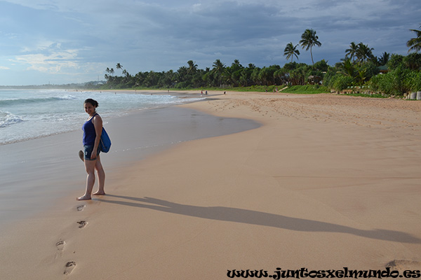 Playa de Koggala 3