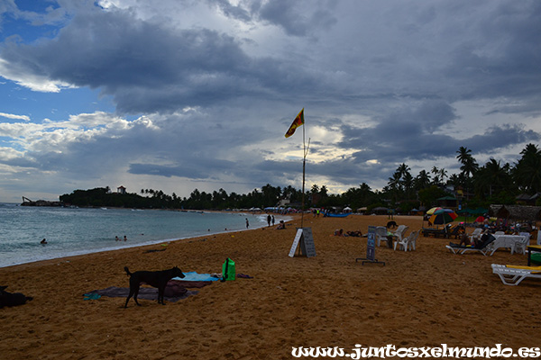 Playa de Unawatuna 1