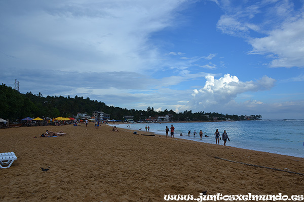 Playa de Unawatuna 2