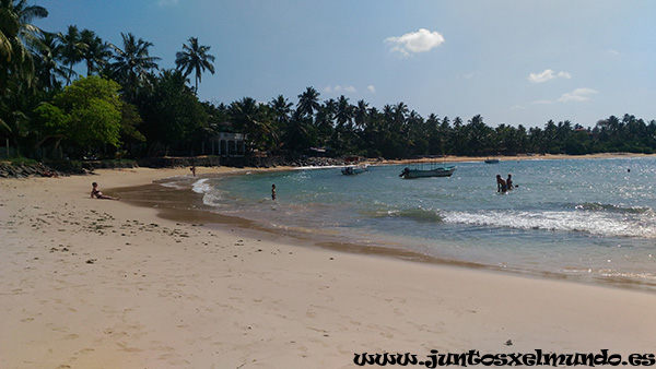 Playa de Mirissa 2