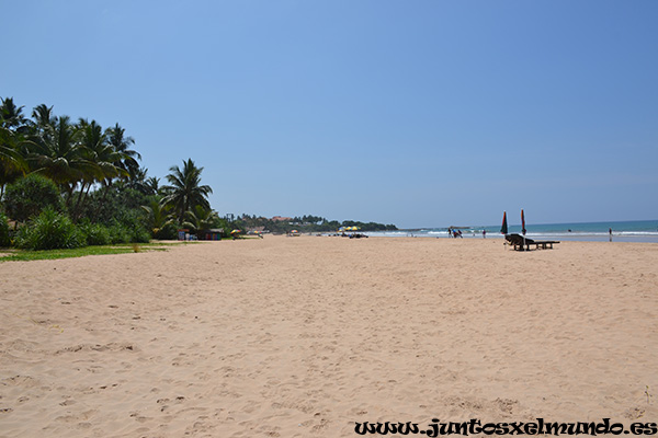 Playa de Bentota 2