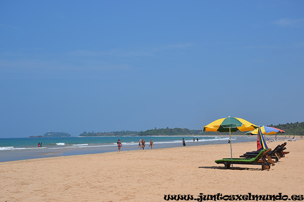 Playa de Bentota 3