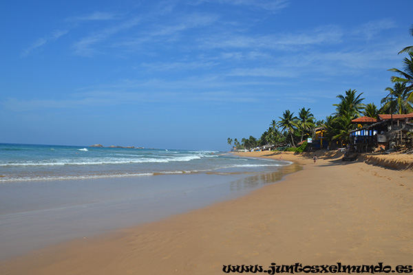 Playa de Hikaduwa 1