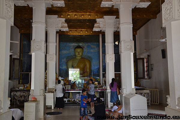 Sri Maha Bodhi 4