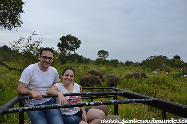 Safari en Hurulu Park 5