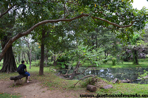 Jardin fuera del museo 1