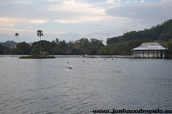Lago Kandy 1