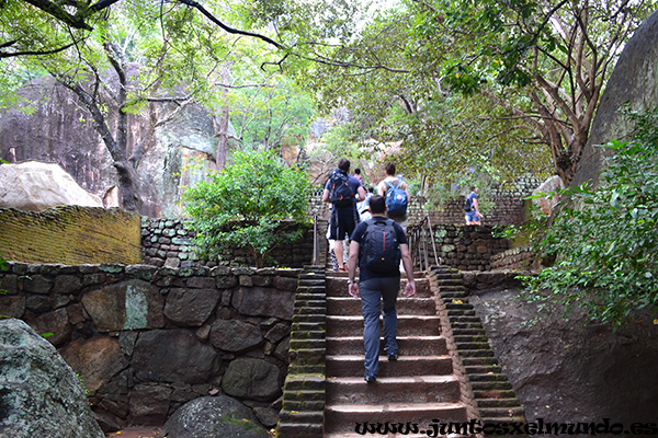 Sigiriya 3