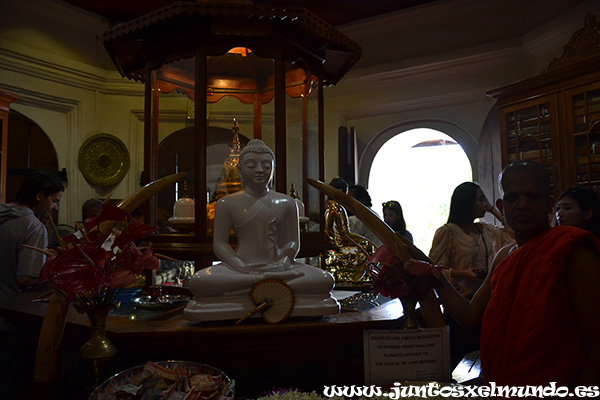 Templo del Diente de Buda 6