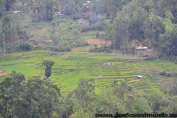 De Kandy a Nuwara Eliya Mirador 1