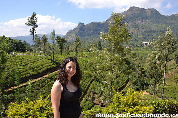 De Kandy a Nuwara Eliya 3