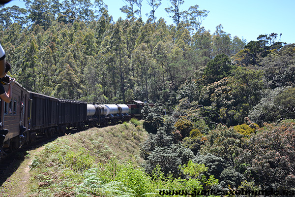 Tren de Nanu Oya a Ella 2