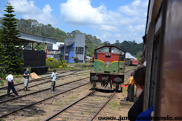 Tren de Nanu Oya a Ella 8