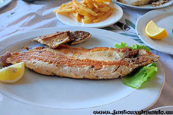 Comida en restaurante Leza