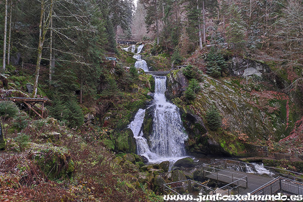Triberg - Cascada