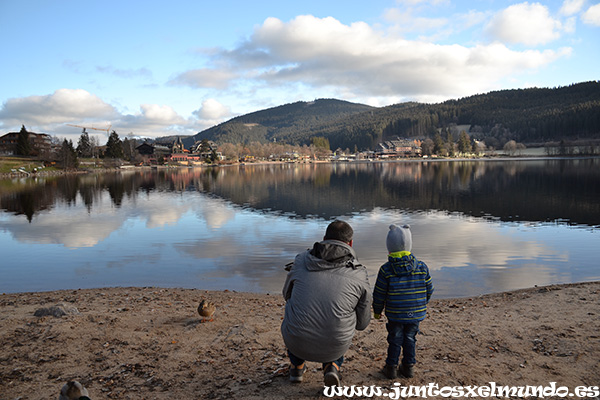 Lago Titisee