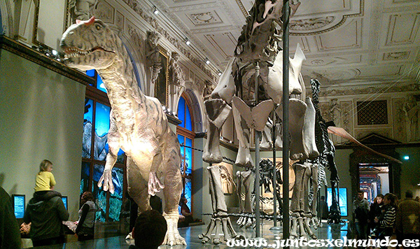 Museo de historia natural