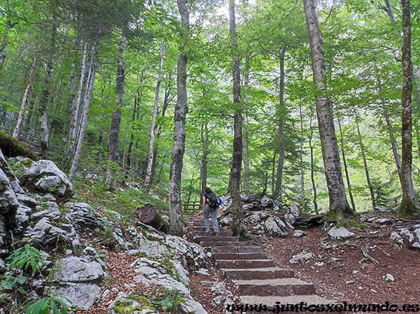 Camino a la cascada Savica