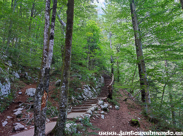 Camino a la cascada Savica