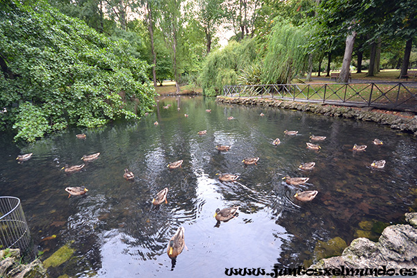 Aviles Parque de Ferrera