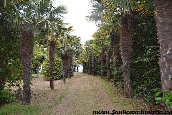 Luarca Jardin La Fonte Baxa 5