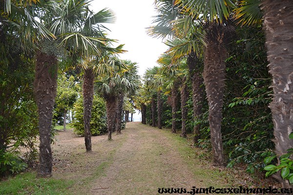 Luarca Jardin La Fonte Baxa 5