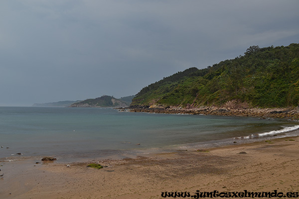 Tazones 1