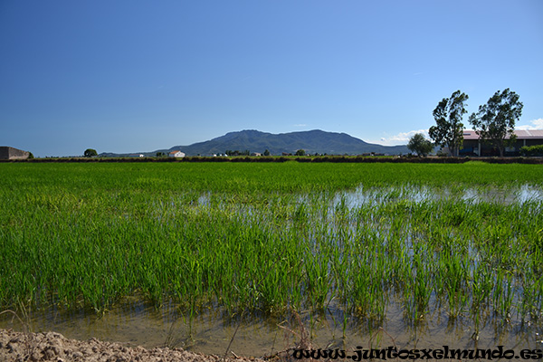 Delta del Ebro 2