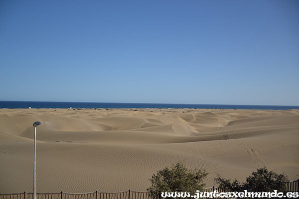 Maspalomas Dunas 1