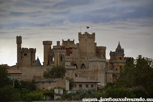 Olite Palacio Real 2