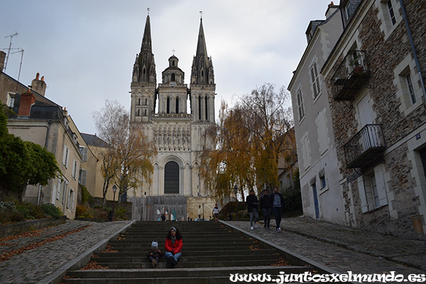 Angers Catedral de St. Maurice 2