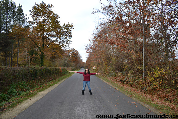 Camino de Bourges a Sully sur Loire