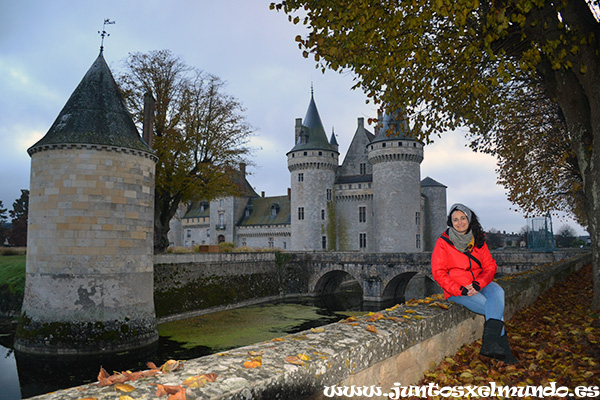 Castillo de Sully sur Loire 1