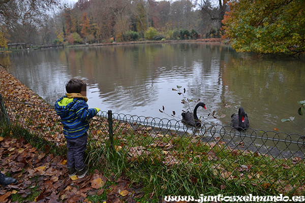 Castillo de Cheverny 14